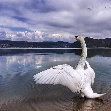 Apartman Bella Vista Golubac Exteriér fotografie