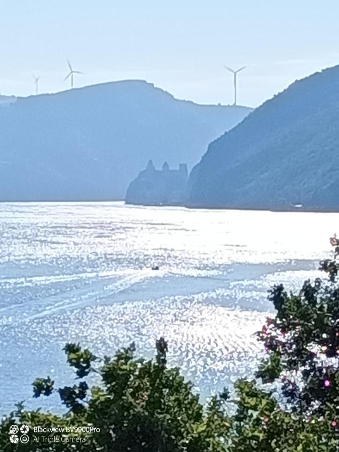 Apartman Bella Vista Golubac Exteriér fotografie