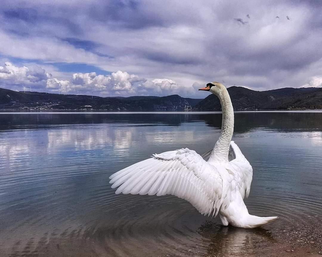Apartman Bella Vista Golubac Exteriér fotografie