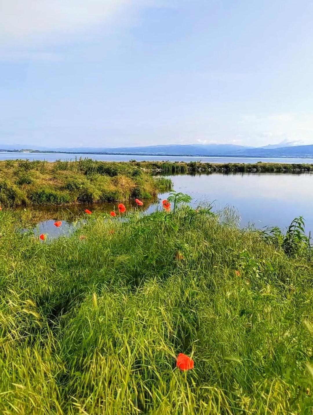 Apartman Bella Vista Golubac Exteriér fotografie