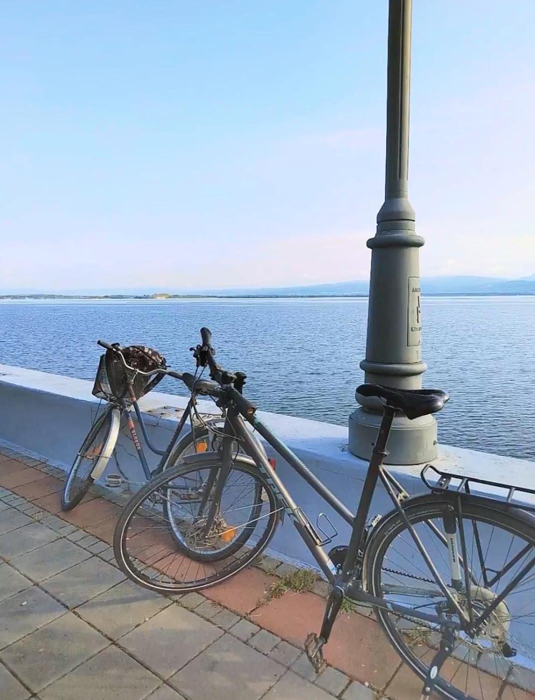 Apartman Bella Vista Golubac Exteriér fotografie