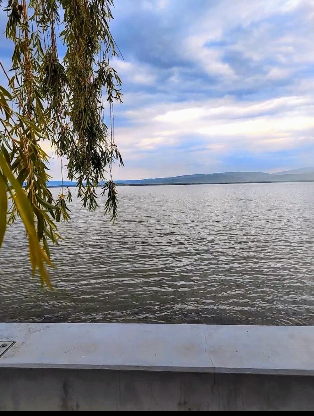 Apartman Bella Vista Golubac Exteriér fotografie